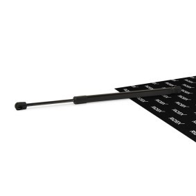 RIDEX 219G0066 Mala FORD