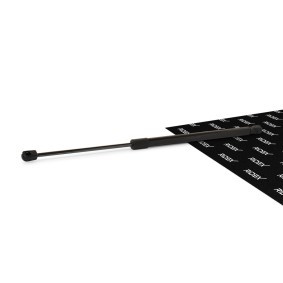 RIDEX 219G0112 Mala MERCEDES-BENZ