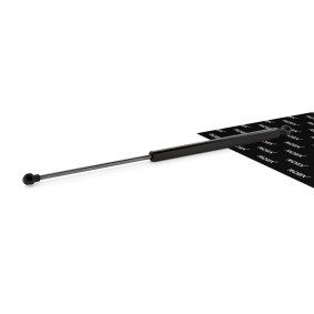 RIDEX 219G0118 Pistoncini portellone SEAT