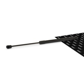 RIDEX 219G0334 Heckklappendämpfer MITSUBISHI