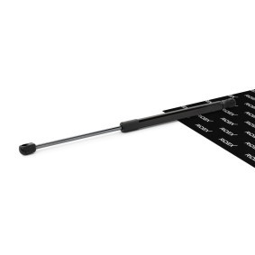 RIDEX 219G0264 Pistoncini portellone FIAT