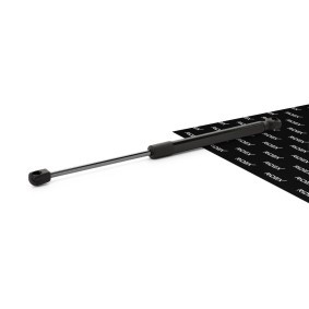 RIDEX 514G0048 Gasfjeder motorhjelm VW