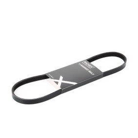 RIDEX 305P0012 Correia do alternador FORD Escort 5 (ANL)