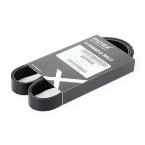 RIDEX 305P0050 Correia do alternador KIA PICANTO (TA)
