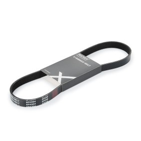 RIDEX 305P0134 Correia do alternador PEUGEOT EXPERT