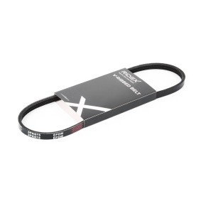 RIDEX 305P0002 Correia do alternador FORD Escort 5 (ANL)