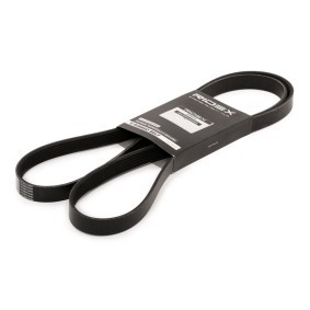 RIDEX 305B0286 Correia do alternador OPEL CASCADA