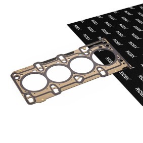 RIDEX 318G0235 Zylinderkopfdichtung FORD KA