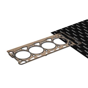 RIDEX 318G0238 Junta da cabeça do motor SEAT EXEO