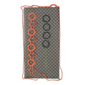 NISSAN Ventildeckeldichtung RIDEX 979G0049