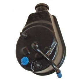 Achetez des Pompe de direction assistée LIZARTE 04.30.1500 à prix pour 374,77&nbsp;&euro;