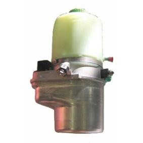Achetez des Pompe de direction assistée LIZARTE 04.55.0800 à prix pour 415,51&nbsp;&euro;