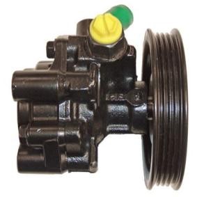 Achetez des Pompe de direction assistée LIZARTE 04.17.0135-1 à prix pour 273,42&nbsp;&euro;