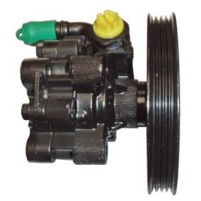 Achetez des Pompe de direction assistée LIZARTE 04.75.1515-1 à prix pour 268,83&nbsp;&euro;
