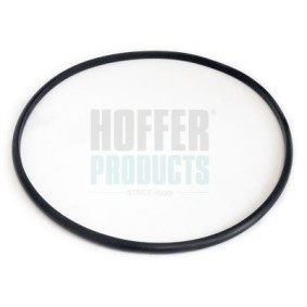 HOFFER 750GSK06 Dichtung, Tankgeber CITROËN Berlingo / Berlingo First (MF, GJK, GFK)