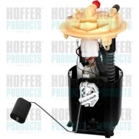 Kraftstoff-Fördereinheit 7506990 für PEUGEOT