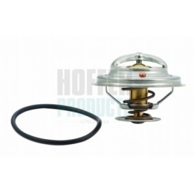 Acquista Termostato motore da HOFFER 8192217 a buon mercato per soli 17,62&nbsp;&euro;