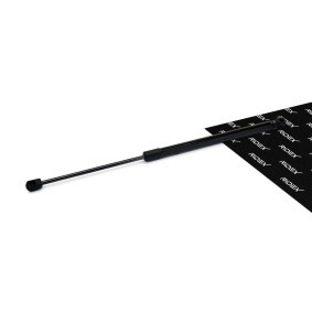 RIDEX 219G0257 Mala FORD