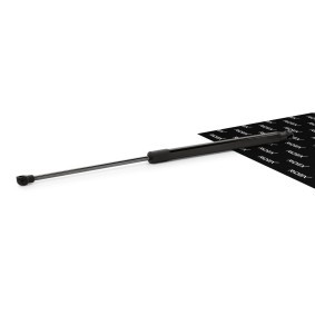 RIDEX 219G0253 Pistoncini portellone RENAULT