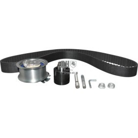 JP GROUP 1112105209 Kit cinghia di distribuzione SKODA Fabia 2 (545) 1.4 70 CV Diesel