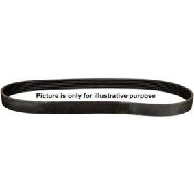 Compre Correia trapezoidal estriada da JP GROUP 1118100100 a um preço baixo por 5,93&nbsp;&euro;