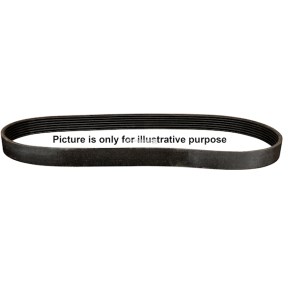 Osta Tanko, kallistuksenvaimennin JP GROUP:llä 1340401389 edullisesti hintaan 21,21&nbsp;&euro;