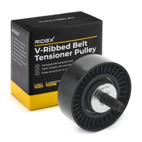 RIDEX 312D0088 Umlenk- / Führungsrolle, Keilrippenriemen FIAT ULYSSE