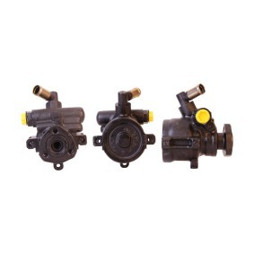 Compre Bomba de direção da ELSTOCK 15-0422 a um preço baixo por 180,00&nbsp;&euro;