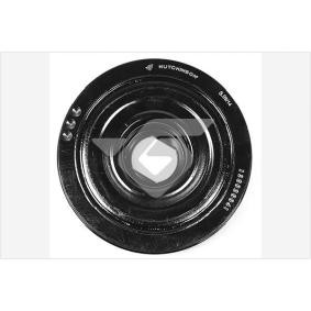 Compre Polia, cambota da HUTCHINSON DP115 a um preço baixo por 180,82&nbsp;&euro;