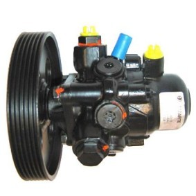 LIZARTE 04.07.0295-1 Pompe de direction assistée CADILLAC