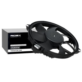 RIDEX 508R0067 Ventilador RENAULT MEGANE