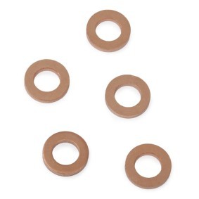 DELPHI 9001-850K Wärmeschutzscheibe, Einspritzanlage VW PHAETON