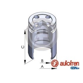 Comprar Émbolo, pinza del freno de AUTOFREN SEINSA D025241 a bajo precio de 16,01&nbsp;&euro;