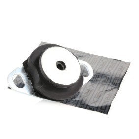 RIDEX 247E0137 Apoio do motor RENAULT MEGANE
