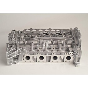 AMC 908625 Zylinderkopf RENAULT KOLEOS (HY_)