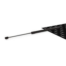 Heckklappendämpfer 219G0249 für FORD