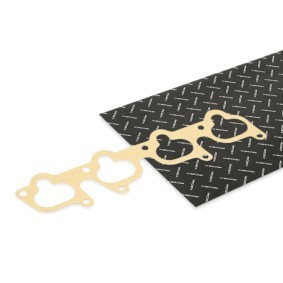 Osta Tiiviste, imusarja RIDEX:llä 42G0030 edullisesti hintaan 5,96&nbsp;&euro;