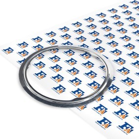 FA1 100-921 Auspuffdichtung BMW X5 (E70)