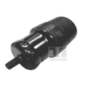 TEDGUM 00393820 Støvdeksel støtdemper og anslagsbuffer MAZDA 6 Station Wagon (GY) 1.8 120 hk Bensinmotor