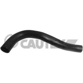 CAUTEX 011421 Ladeluftschlauch FIAT PUNTO (176)