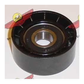 AUTOKIT 03.80602 Umlenk- / Führungsrolle, Keilrippenriemen RENAULT LAGUNA 1 (B56, 556) 1.6 107 PS Otto