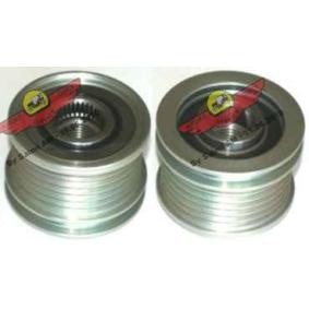 AUTOKIT 03.81441 Polea del alternador MINI Paceman (R61) 1.6 116 cv Motor otto