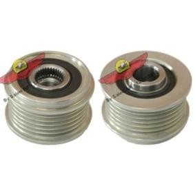 AUTOKIT 03.81679 Puleggia alternatore CHEVROLET AVEO Tre volumi (T300) 1.2 69 CV Motore a ciclo otto