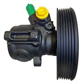 Osta Ohjaustehostimen pumppu LIZARTE:llä 04.05.0200-4 edullisesti hintaan 374,91&nbsp;&euro;