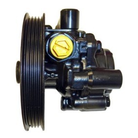 Achetez des Pompe de direction assistée LIZARTE 04.17.0108-1 à prix pour 271,23&nbsp;&euro;
