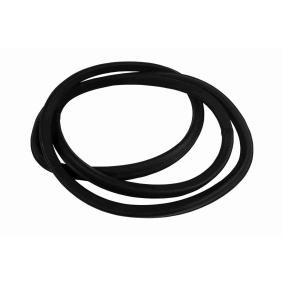 VAICO V30-1549 MERCEDES-BENZ 124-sarja Ikkunatiiviste