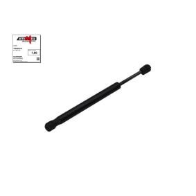 AUTOMEGA 100005210 Coffre à bagages FORD Focus 2 (DA_, HCP, DP)