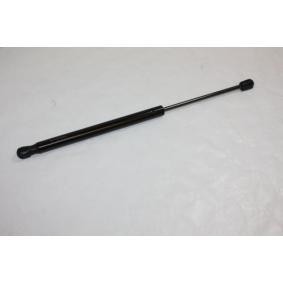 AUTOMEGA 100043610 Kofferraum SKODA Fabia 1 Praktik (6Y5)