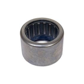 Pilotlager, Kupplung 10005