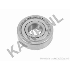 Pilotlager, Kupplung 10034